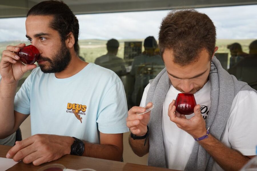 Jaén: Aires de Jaén Olive Oil Tasting Class - Key points to know before you book
