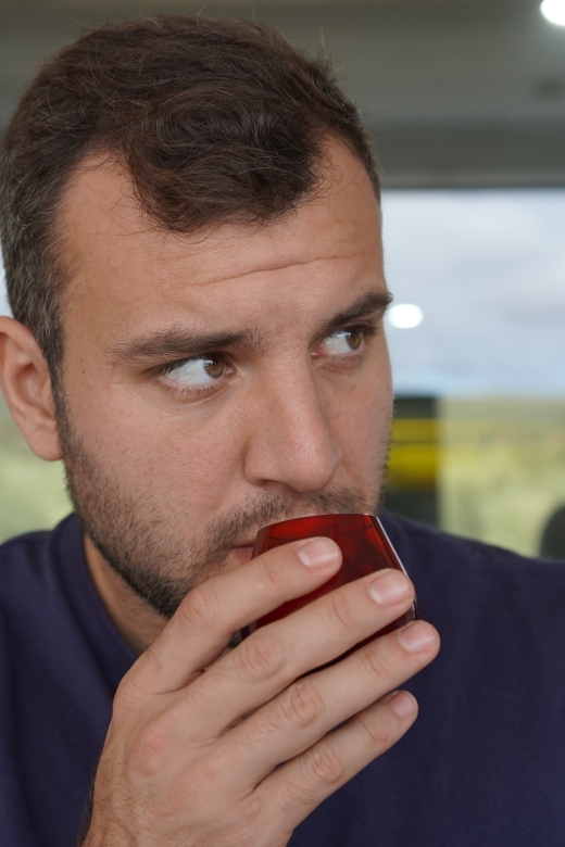 Jaén: Aires de Jaén Olive Oil Tasting Class - Why this Jaén olive oil class is worth your time