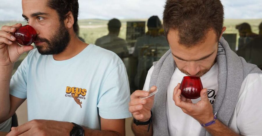 Jaén: Aires de Jaén Olive Oil Tasting Class - Starting with the olive itself