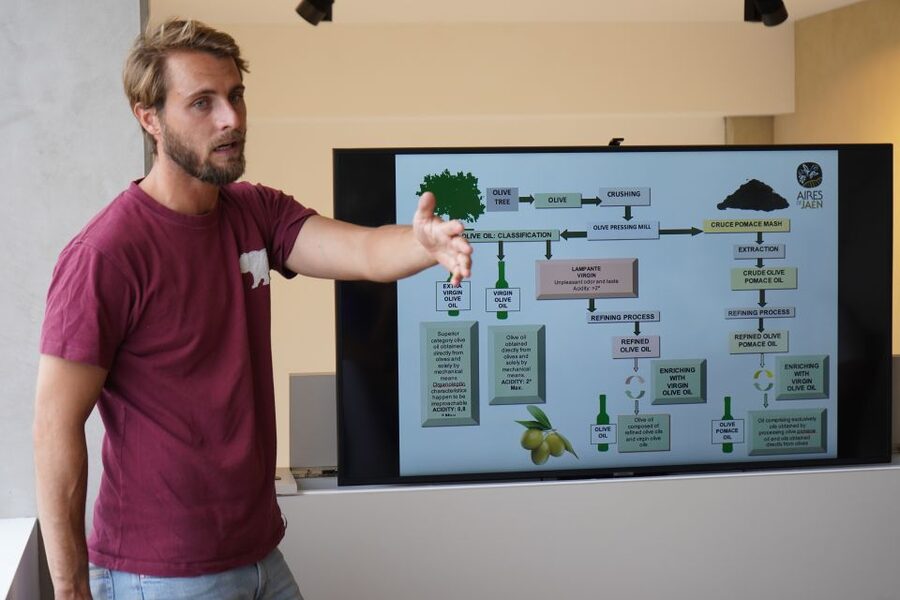 Jaén: Aires de Jaén Olive Oil Tasting Class - The Aires de Jaén Lab and the production story