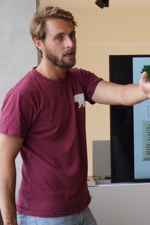 Jaén: Aires de Jaén Olive Oil Tasting Class - What the $14 price really gets you