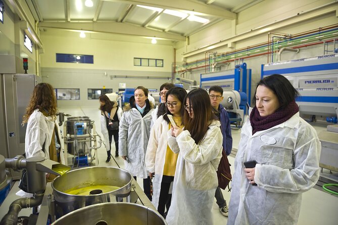 Jaén Discover the Secrets of Olive Oil: Tour & Sensory Tasting - The three-oil tasting: learning to use your nose and palate