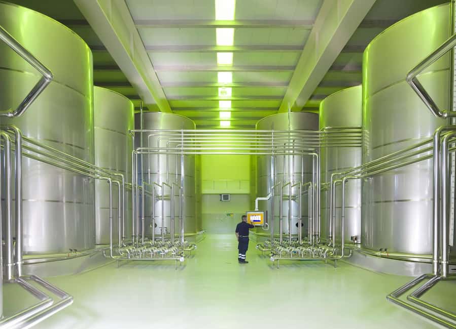 Jaén Discover the Secrets of Olive Oil: Tour & Tasting - Who will enjoy this Jaén experience most?