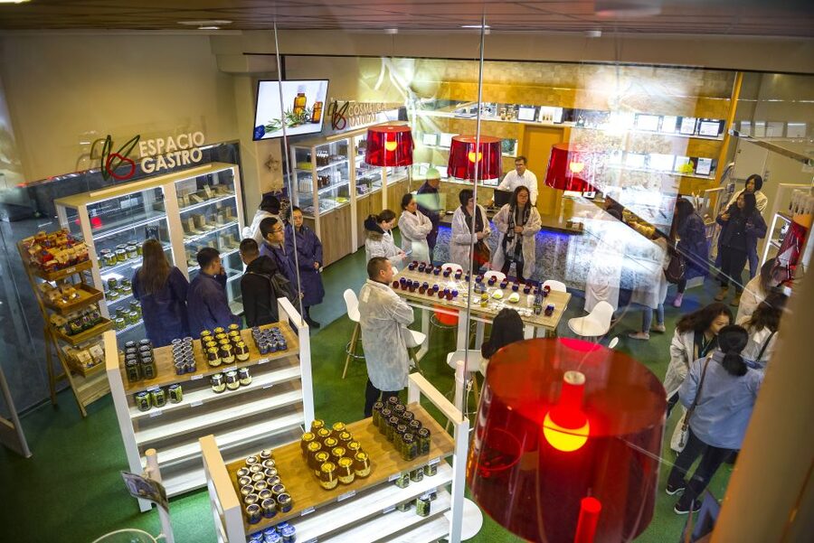Jaén Discover the Secrets of Olive Oil: Tour & Tasting - Practical details that affect your visit