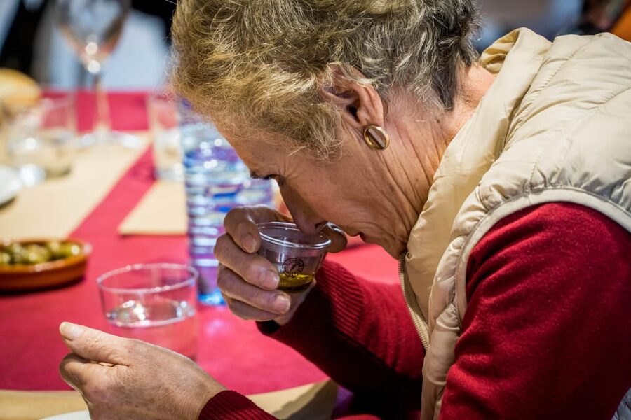 Jaén: Guided Olive Mill Tour with Olive Oil Tasting - Key points to know before you go