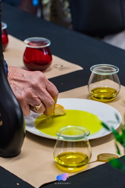 Jaén: Guided Olive Mill Tour with Olive Oil Tasting - Arriving at Begíjar from Baeza or Úbeda