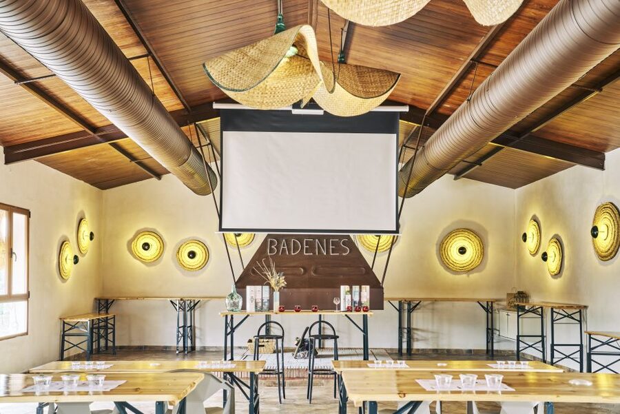 Jaen: Olive oil tour with the 5 senses, grove and tasing - Key points at a glance