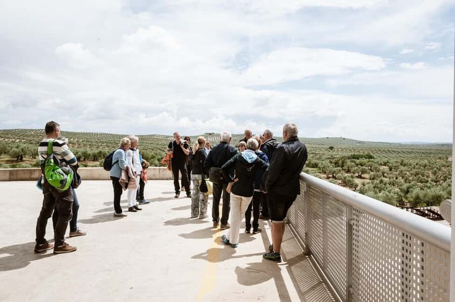 Jaén: Unforgettable visit to the olive mill + EVOO tasting - Why olive oil makes sense as a Jaén experience