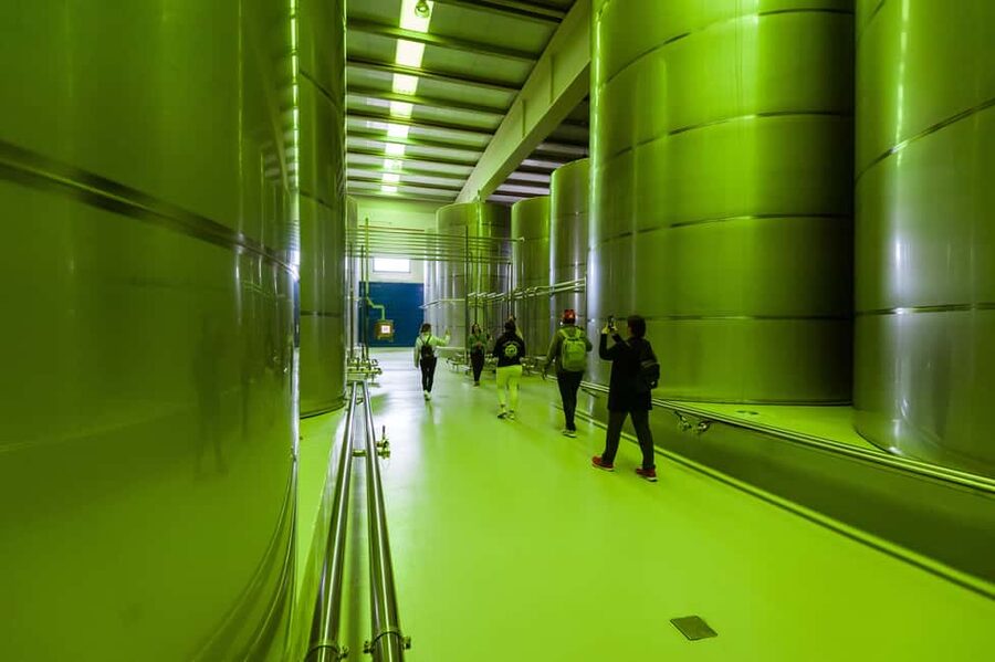 Jaén: Unforgettable visit to the olive mill + EVOO tasting - Starting at Picualia’s gourmet shop