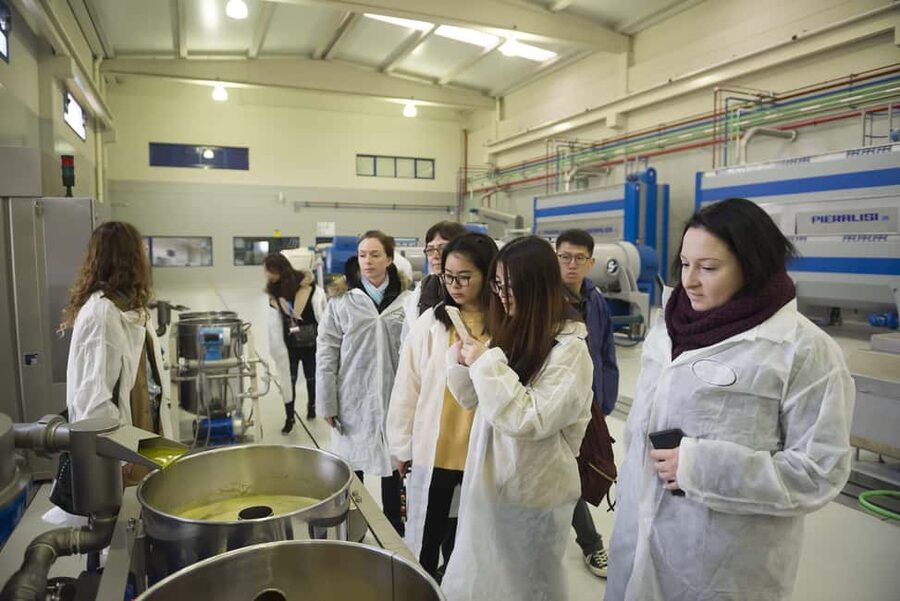 Jaén: Unforgettable visit to the olive mill + EVOO tasting - The views, shop, and restaurant