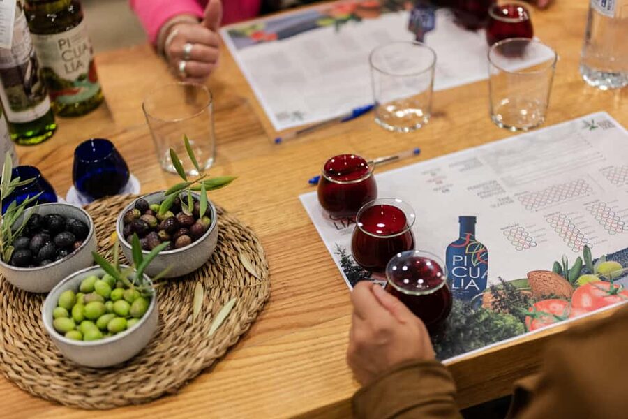 Jaén: Unforgettable visit to the olive mill + EVOO tasting - Is $17 good value?
