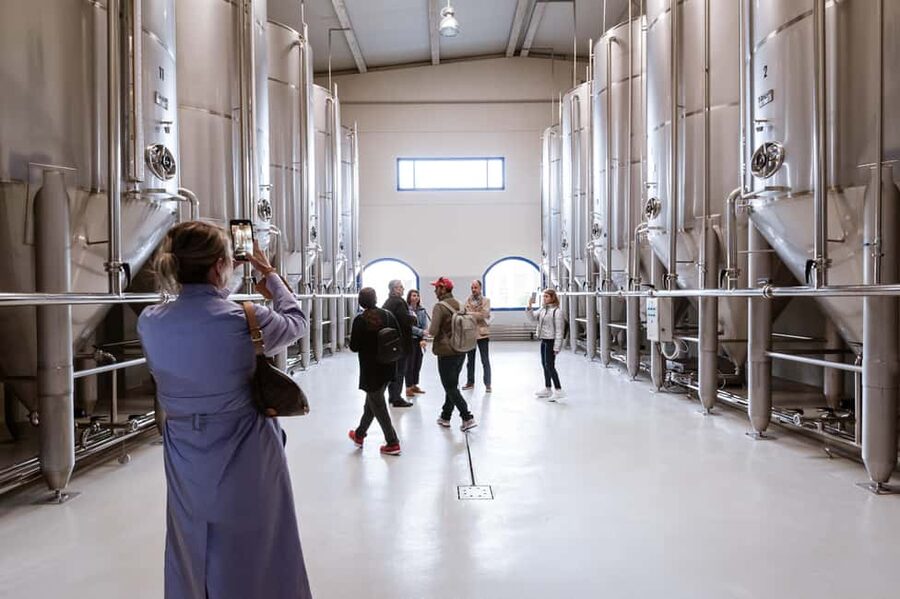 Jaén: Unforgettable visit to the olive mill + EVOO tasting - The first 45 minutes: from olive culture to modern machinery