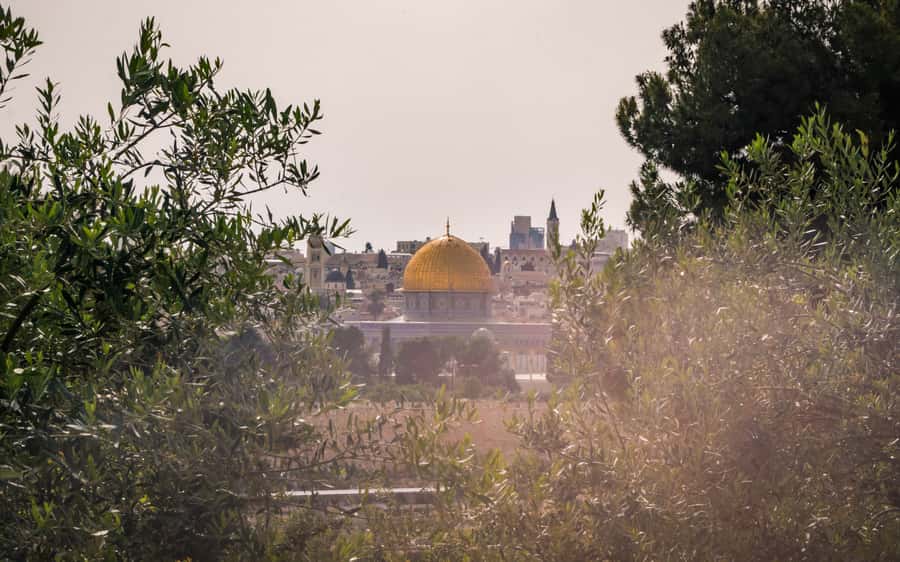 Jerusalem: Mount of Olives Guided Tour - What to wear and bring