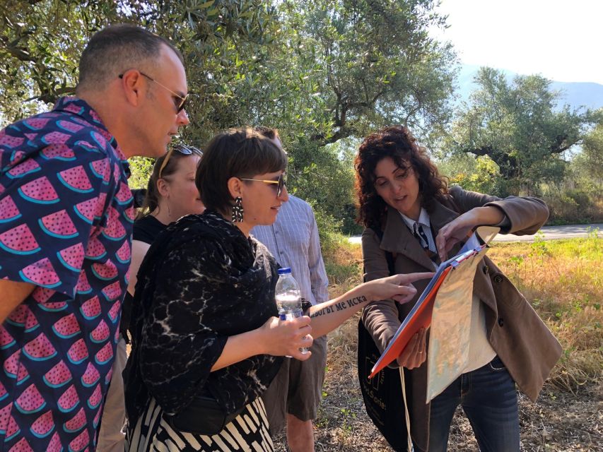 Kalamata, Greece: Organic Olive Grove Tour-Olive oil tasting - Walking among Kalamata’s old organic olive trees