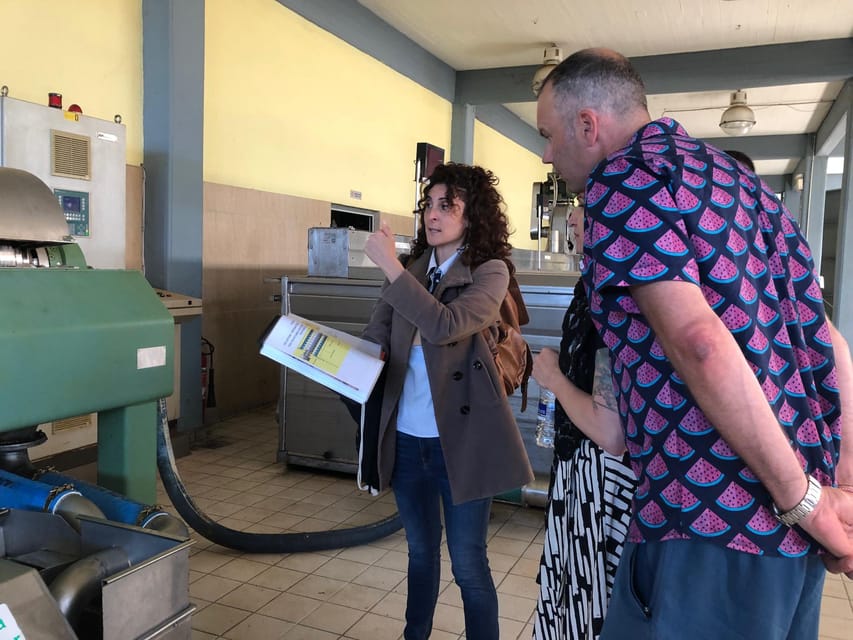 Kalamata, Greece: Organic Olive Grove Tour-Olive oil tasting - Adding a Messinian lunch in the old center