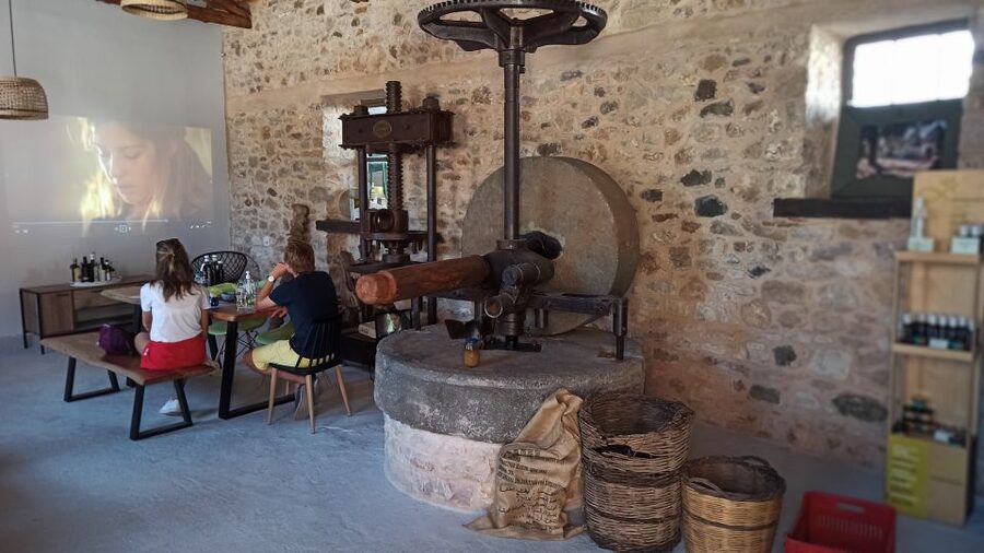 Kalamata: The Olive Oil Routes Tour - Pairing olive oil with Messinian food