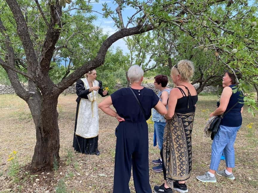Kastela: Wine & Olive Tasting Tour w/Delicacies & Live Music - From Olive Blossoms to Extra Virgin Oil