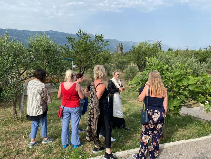 Kastela: Wine & Olive Tasting Tour w/Delicacies & Live Music - The Dalmatian Table Under the Pergola