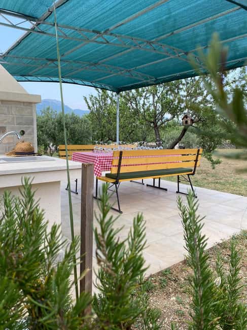 Kastela: Wine & Olive Tasting Tour w/Delicacies & Live Music - Is $173 a Fair Price?