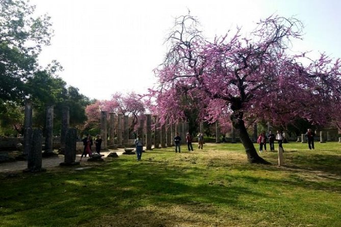 Katakolon Shore Ex: Skip-the-Lines Ancient Olympia & Olive market - Ancient Olympia and the original racecourse