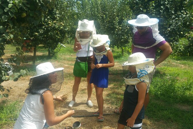 Katakolon Small Group Tour: Olympic site, Honey/Olive Oil Tasting - What the $126.72 price really covers