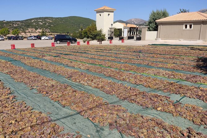 Kefalonia: Private Olive Oil, Honey & Wine Tasting Experience - Sarris Winery: wine, snacks, and an Ionian view