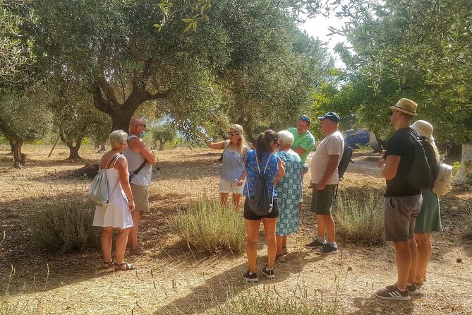 Kefalonia: Private Olive Oil, Honey & Wine Tasting Experience - Why the private format matters