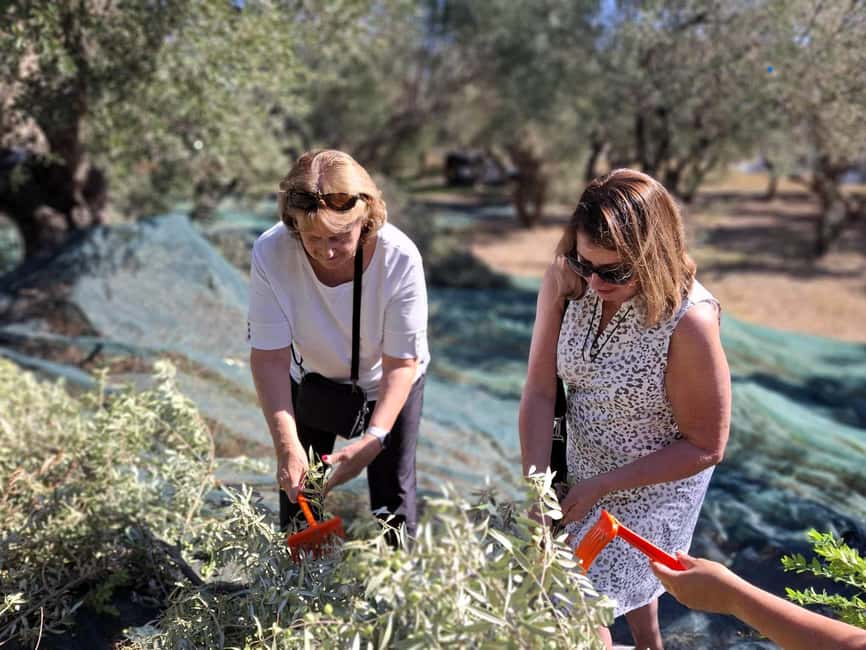 Kefalonia:Private Olive Oil, Honey & Wine Tasting Experience - The final call: book it for access and ease