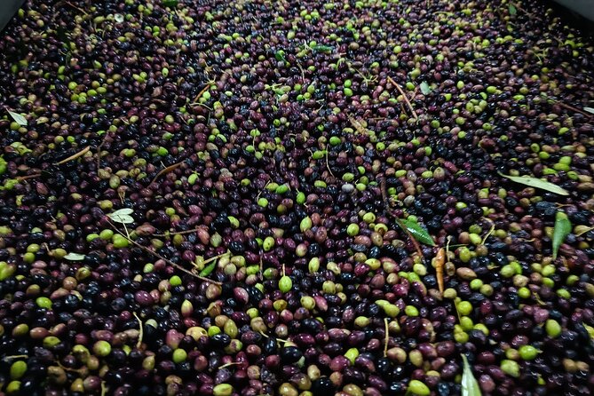 Kleanthi Olive Farm: Guided Tour with Local Delicacies Tasting - The tasting table is the real reward