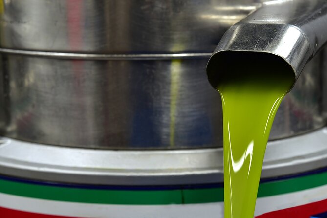 Kleanthi Olive Farm: Guided Tour with Local Delicacies Tasting - What the guides add to the visit