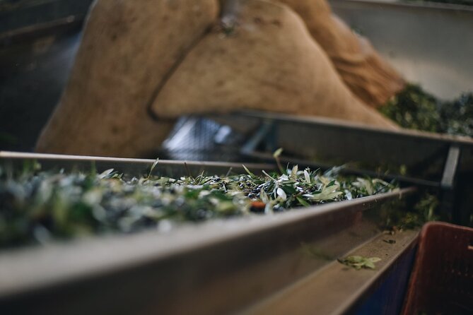 Kleanthi Olive Farm: Guided Tour with Local Delicacies Tasting - Shopping without the hard sell