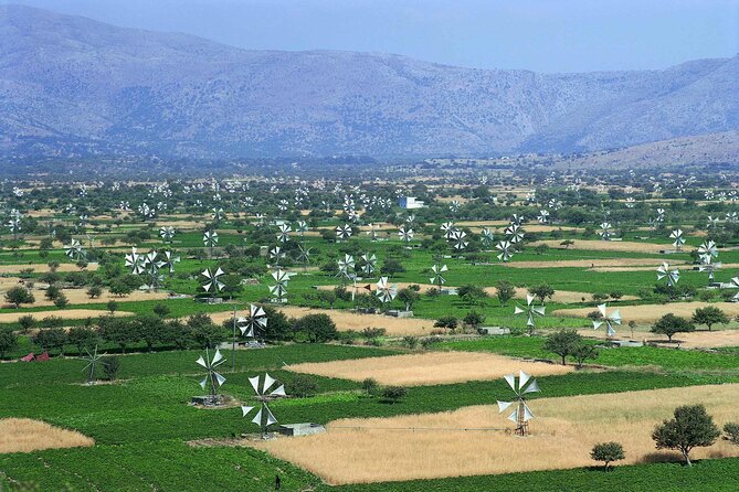 Knossos & lasithi plateau villages,Zeus's cave,&olive oil Mill - The Lassithi Plateau and its old windmills
