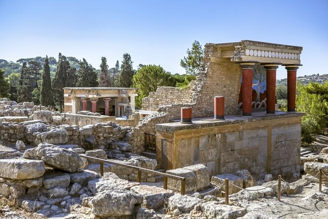 Knossos, Olive Grove, Winery - Distillery with Tastings & Lunch - Walking through an olive grove near Skalani