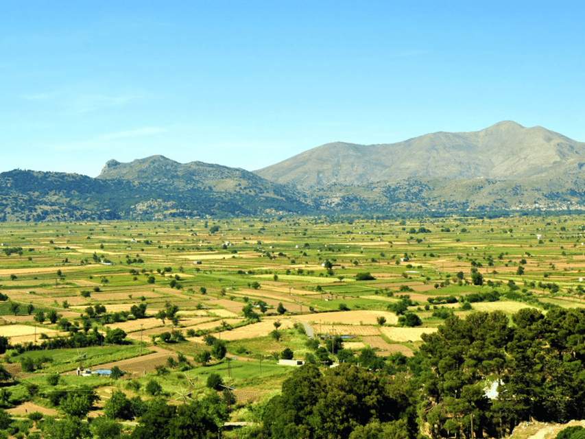 Knossos Palace &/or Zeus Cave + Olive Mill | Local & Private - Monastery, pottery, and the old plane tree