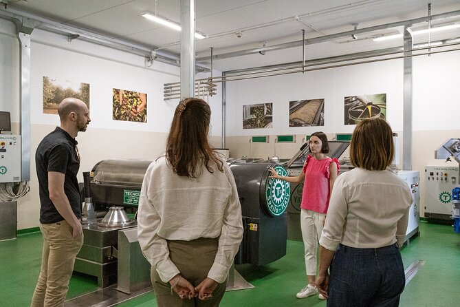 Lake Garda Olive Oil Tour and Tasting Experience - Seeing how the oil is produced