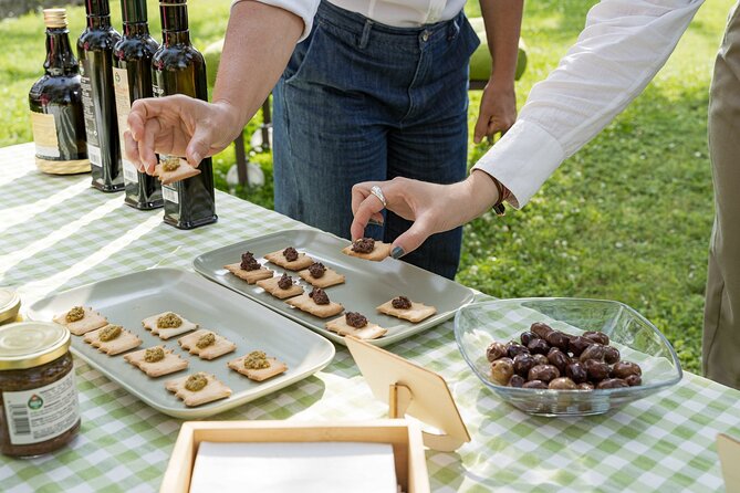 Lake Garda Olive Oil Tour and Tasting Experience - Arriving at Via Molini, 7 in Bardolino