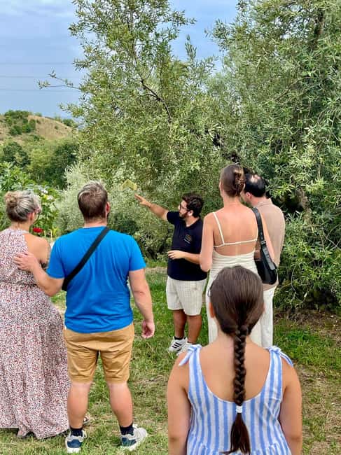 Lake Garda: Tour with 4 Olive Oil Tasting & Local Food - Key points to know before you book