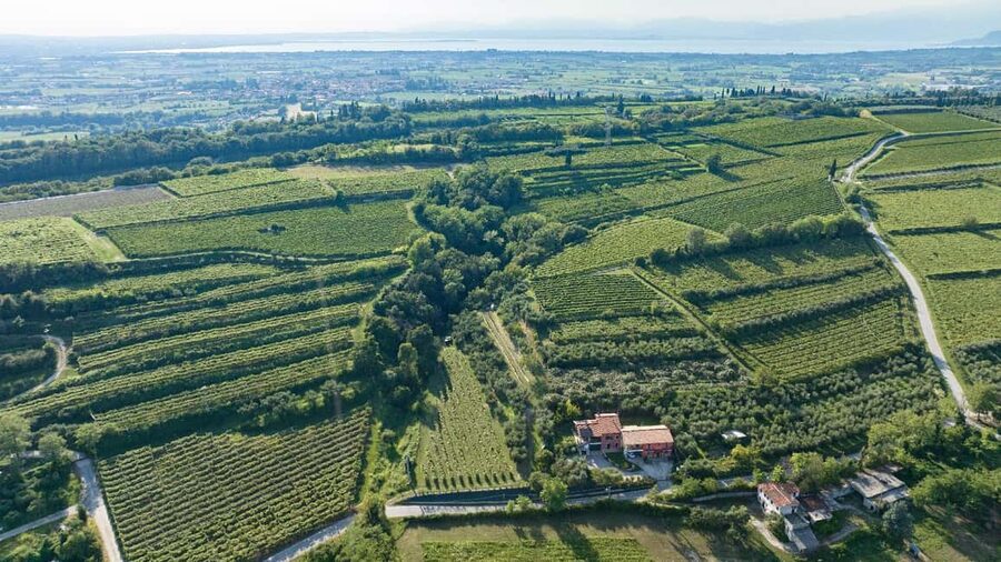 Lake Garda: Tour with 4 Olive Oil Tasting & Local Food - Pâtés, olives, bread, and infused specialties