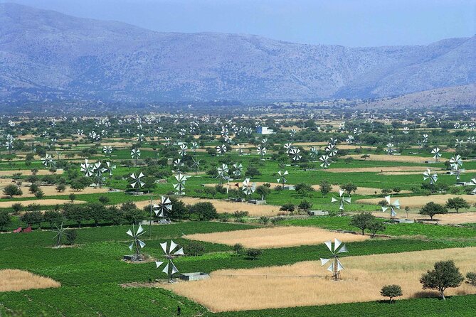 Lasithi - Zeus Cave -Olive Oil Factory - Traditional Villages - Key details before you book