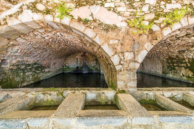 Lasithi - Zeus Cave -Olive Oil Factory - Traditional Villages - Olive oil at Vassilakis Estate