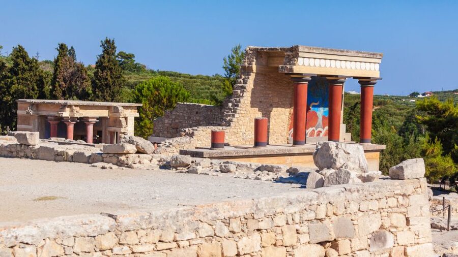 Lassithi, Zeus Cave, Olive Mill Farm & Knossos Combo Tour - The olive farm is part tasting, part sales stop