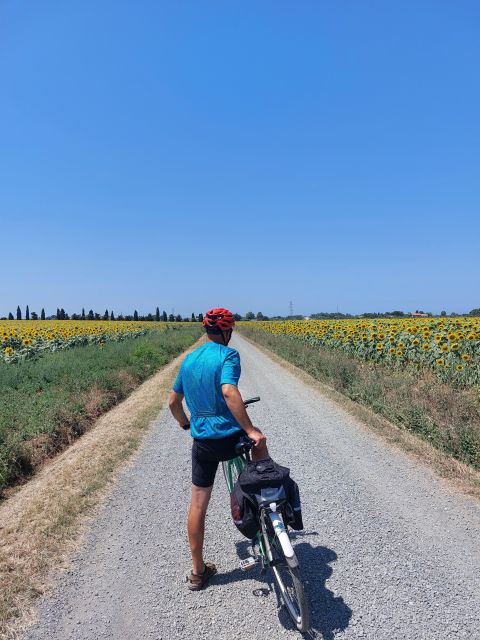 Lecce: E-Bike Tour to Galatina Olive Mill & Wine taste +Taxi - Lunch, wine, and what the $99 price really covers