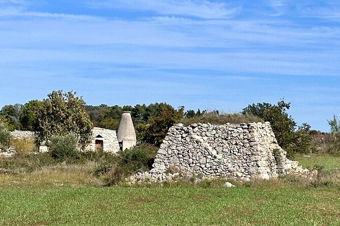 Lecce : Half day E-Bike tour to Old Olive Mill & Olive Oil Taste - Tasting Salento extra virgin olive oil
