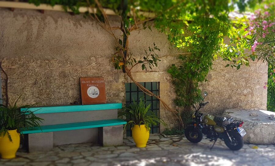 Lefkada: Olive Museum Fabbrica Ticket and Guided Tour - Key points at a glance