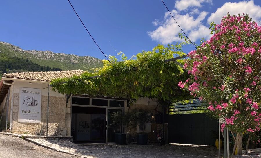 Lefkada: Olive Museum Fabbrica Ticket and Guided Tour - Inside the 19th-century olive mill