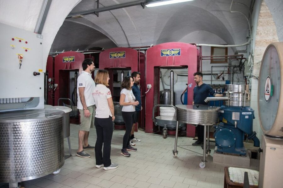 Locorotondo: Guided E-bike Tour & Olive Oil Tasting - Booking details worth checking