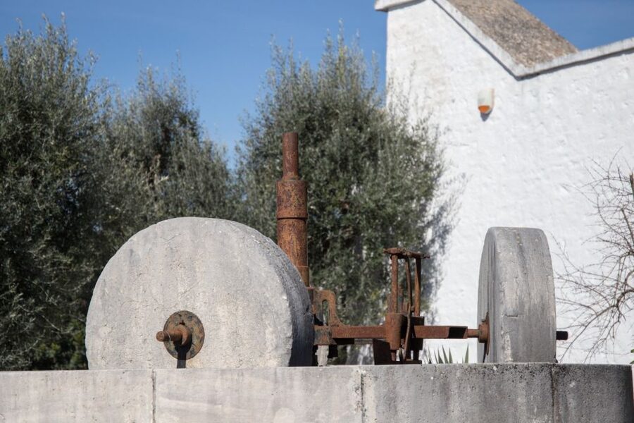 Locorotondo: Guided E-bike Tour & Olive Oil Tasting - Who should book this Locorotondo ride?
