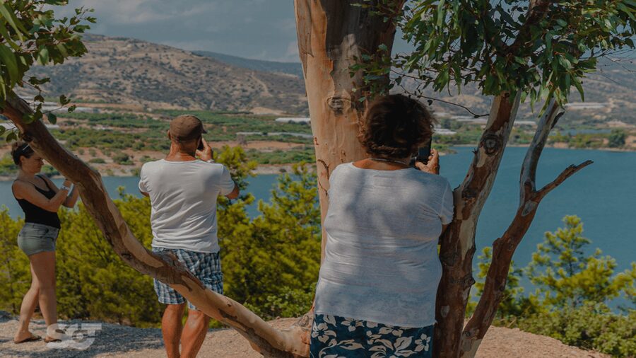 Makrigialos-Ierapetra: Hidden Villages & Olive Oil Farm Tour - Olive oil near Agios Nikolaos