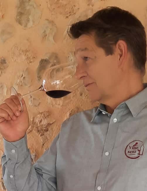 Mallorca: Bodega & Olives Minibustour with wine/oil tasting - How the $152 price measures up