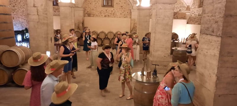 Mallorca: Bodega & Olives Minibustour with wine/oil tasting - Who will enjoy this experience most